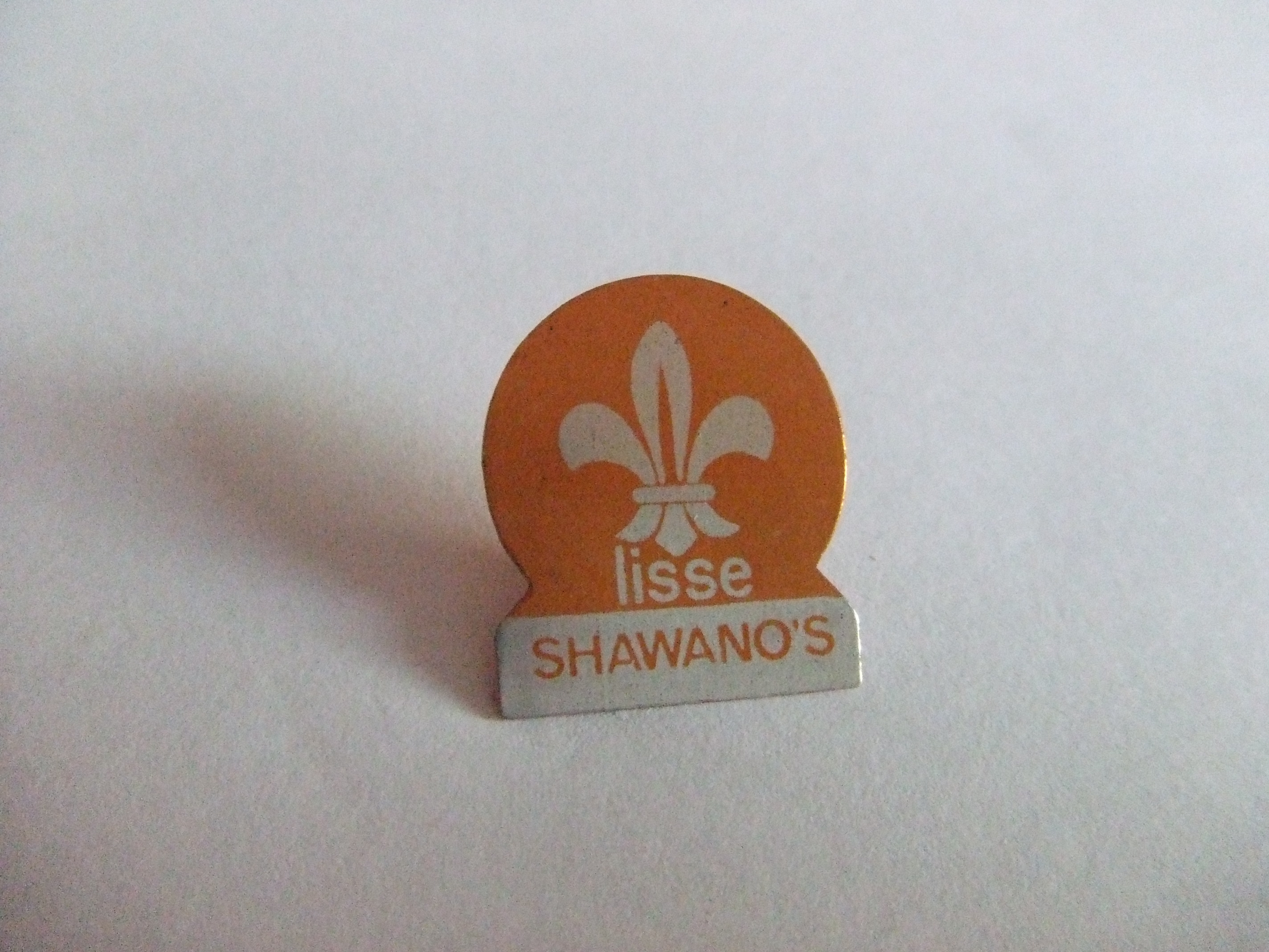 Scouting Shawano's Lisse oranje